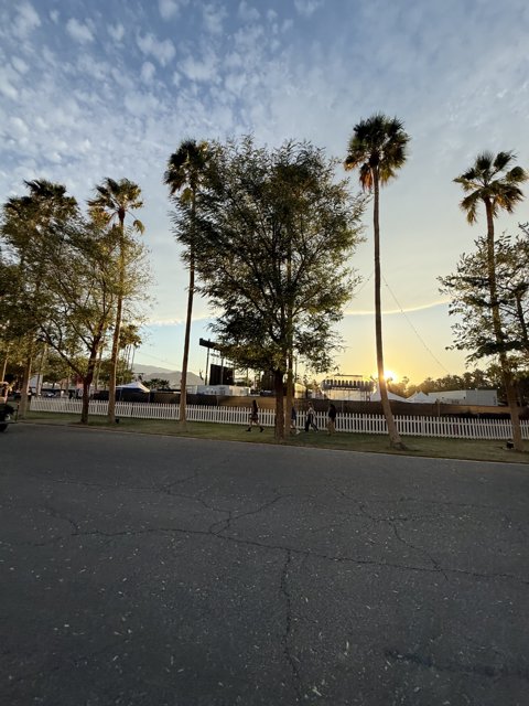 Sunset Stroll