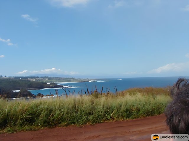 Serene View of the Hawaiian Ocean