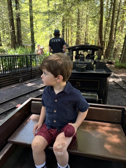 **Train Adventures in Tilden Park**