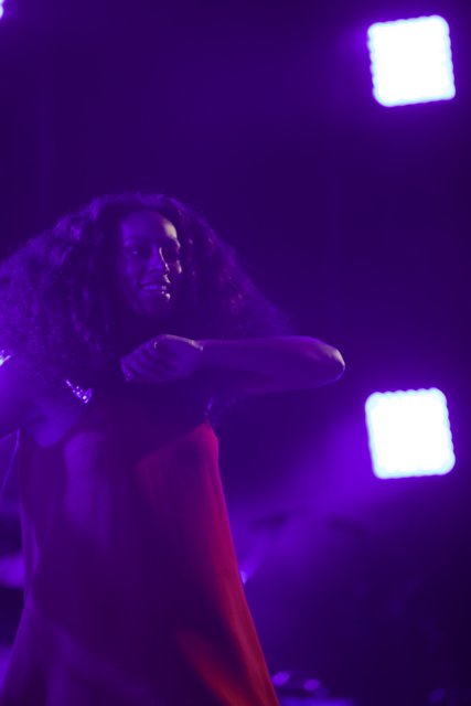 Solange Shines in Vibrant Red at FYF Festival