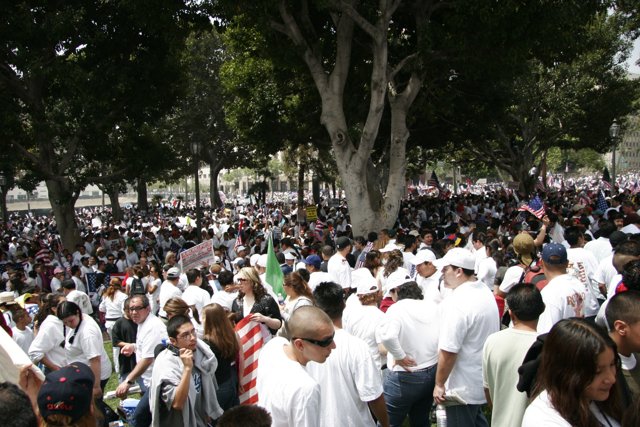 The Sea of White Hats