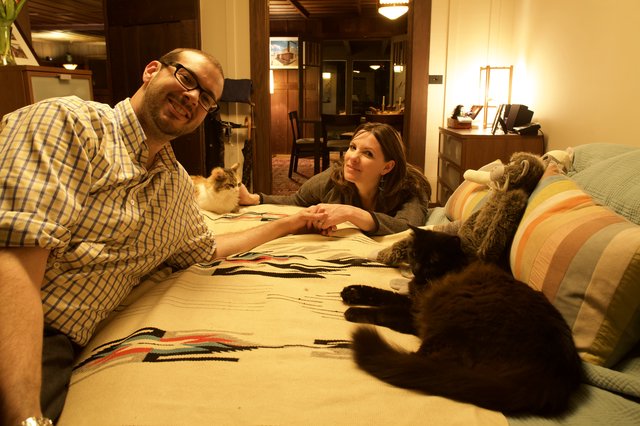 Couple Relaxing on Bed with Two Cats