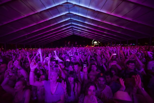 Coachella 2012 Crowd Goes wild