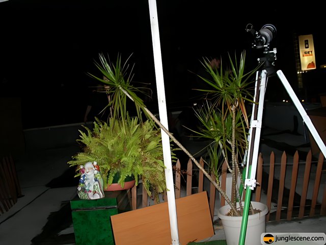 Nighttime Plant and Tripod on Porch