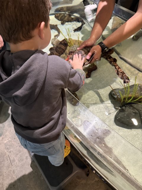 Curious Hands at the Aquarium