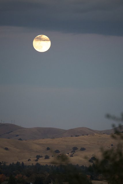 Moonlit Serenity Over Walnut Creek