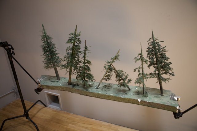 Model Trees on Hardwood Table with Tripod