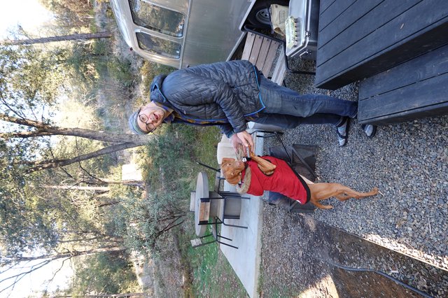 Camping Adventure with Dog and Owner