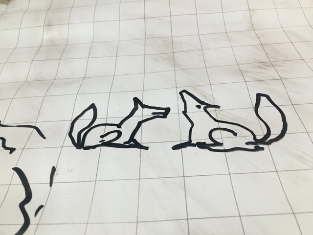 Foxes Meet on the Paper