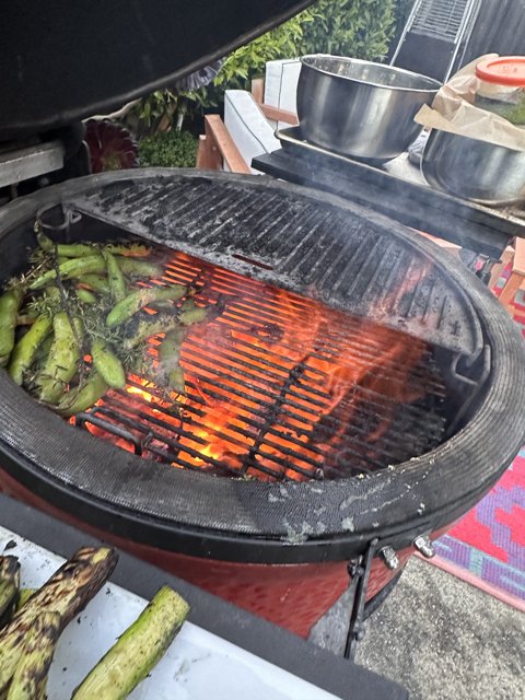 Veggie Barbecue Bonanza, May 2023