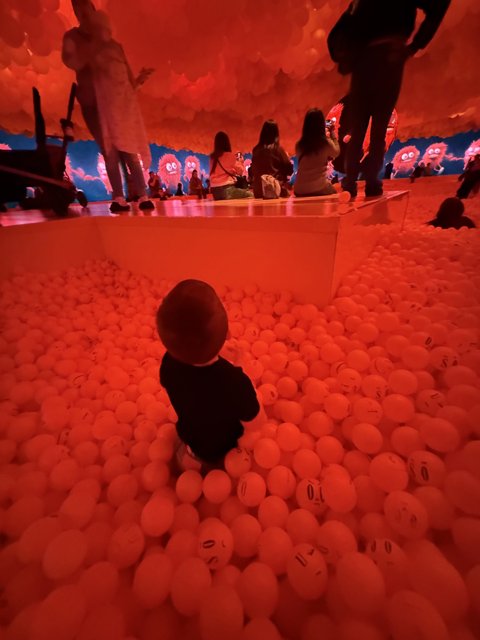 Enchanted Sphere of Wonder