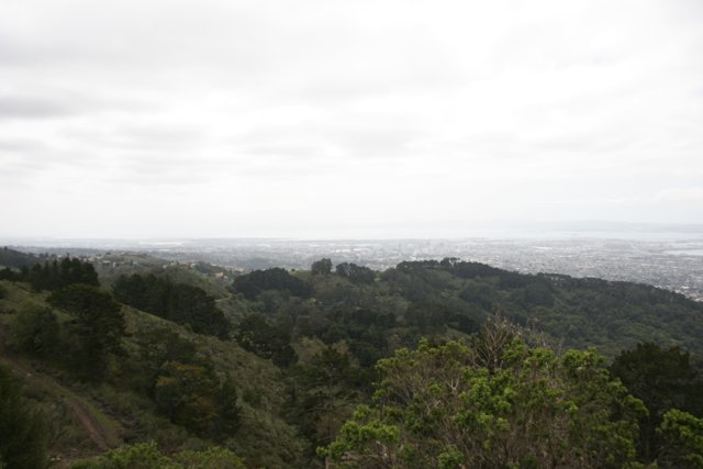 Hilltop View of the City