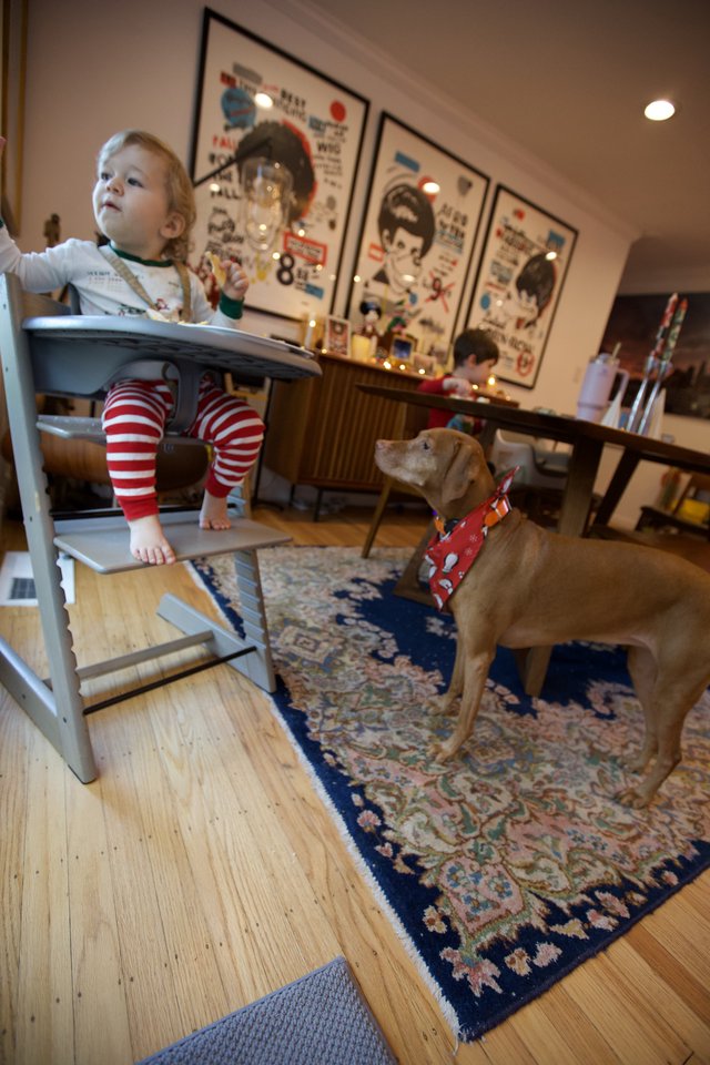 Christmas Morning Curiosity: Child and Dog in Festive Home