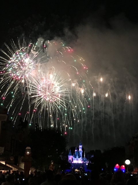 Disneyland Fireworks Illuminating the Night Sky