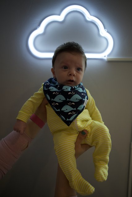 Wesley, 2 Months: Journey in the Neon Clouds