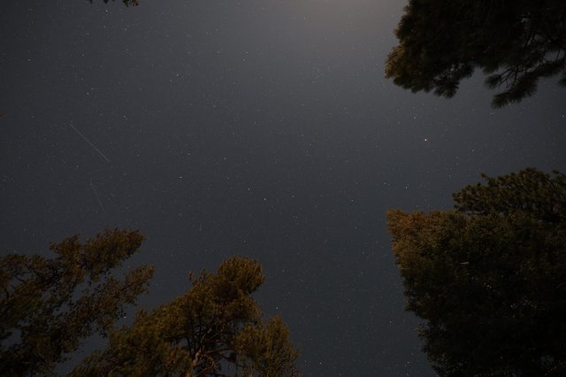 Meteor Streak Over Lassen Volcanic National Park Pines
