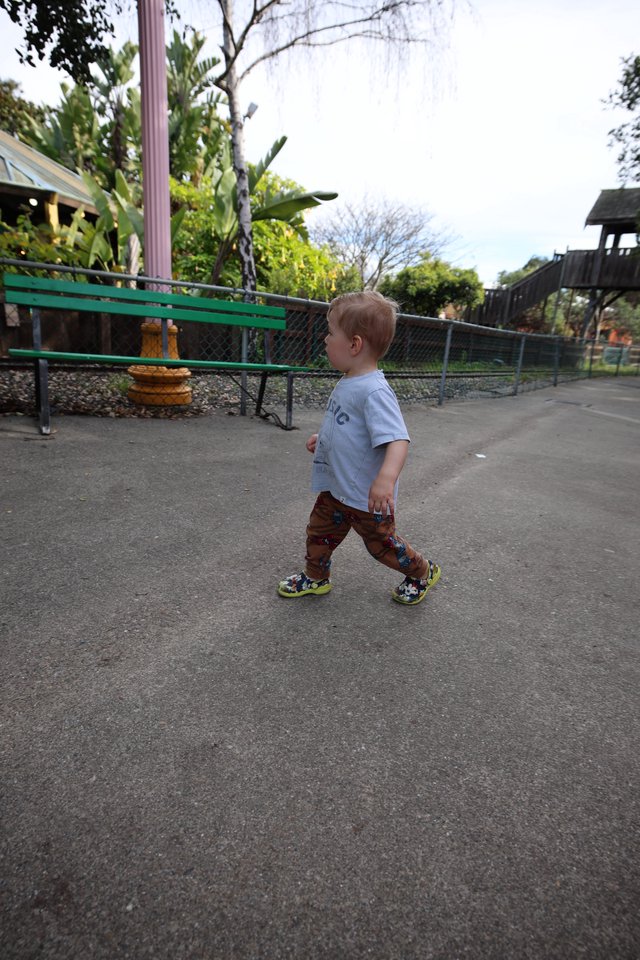 Toddler Exploring Fantasyland at Dusk