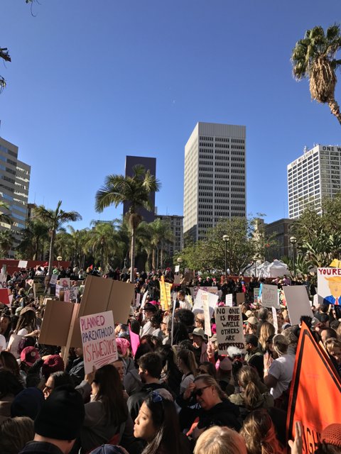 Protesters rally against a building in Los Angeles