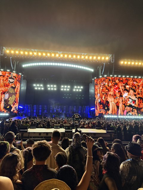 Electrifying Rhythms Under the Stars