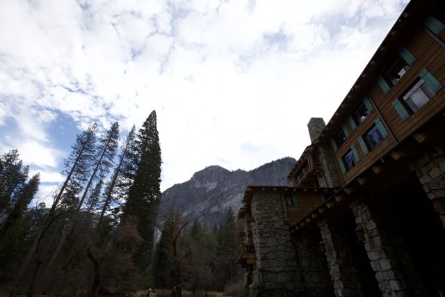Majestic Monastery Amidst Wilderness