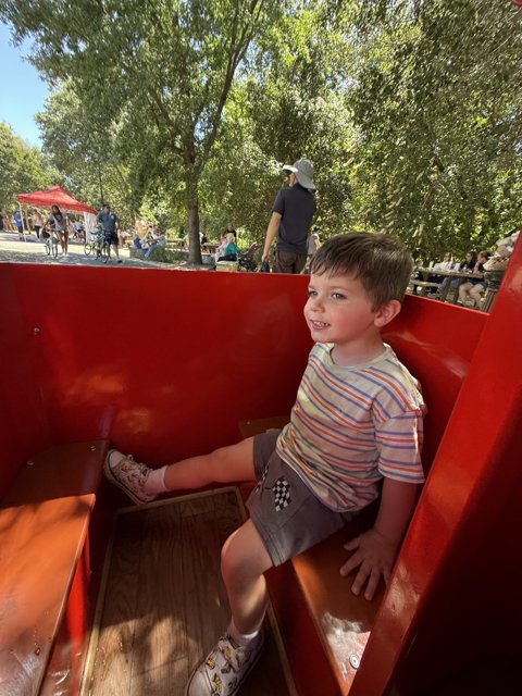 Delightful Day at the Park