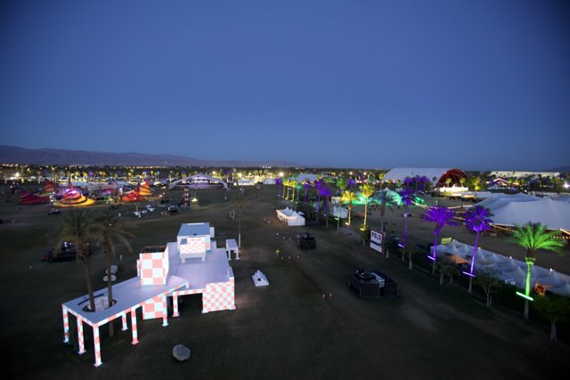 Lights and Palms at Coachella