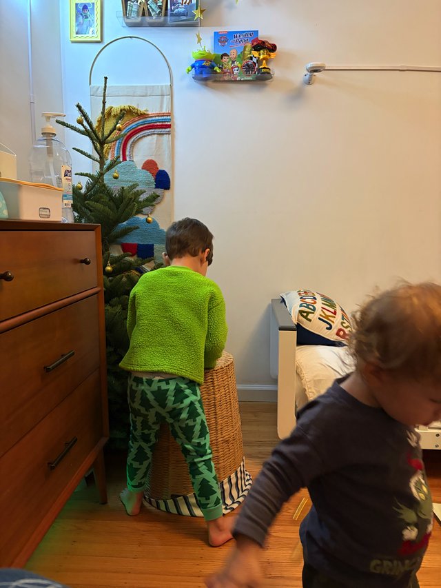 Brothers Decorating Christmas Tree Together in Bedroom