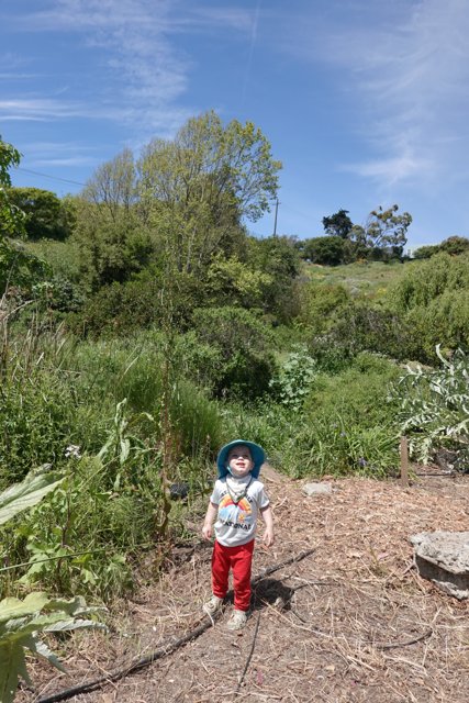 Little Explorer in the Wilderness