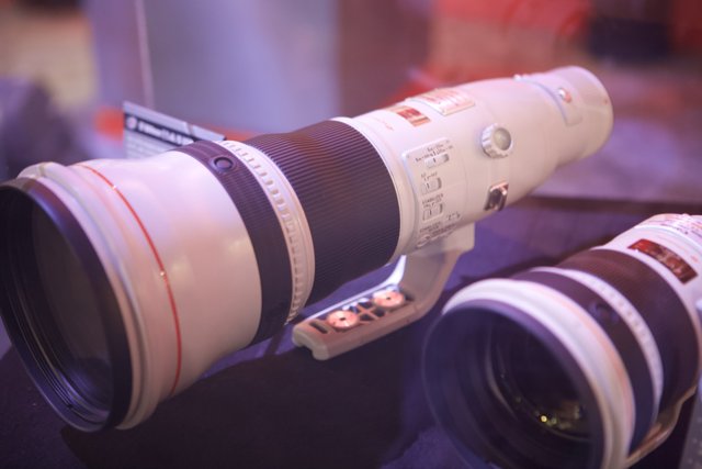 Zooming in with the Canon EF 100-400mm f/4 L II USM