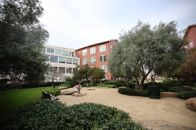 Peaceful Courtyard at Skywalker Ranch Campus