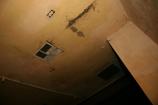 Mold Damage in a Home Building
