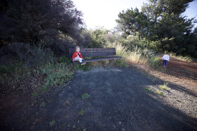 Children at Memorial Bench on Mount Diablo Trail