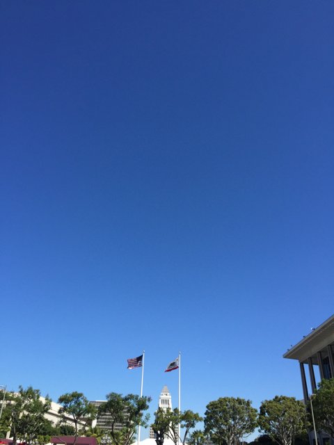 Flags in the Summer Sky