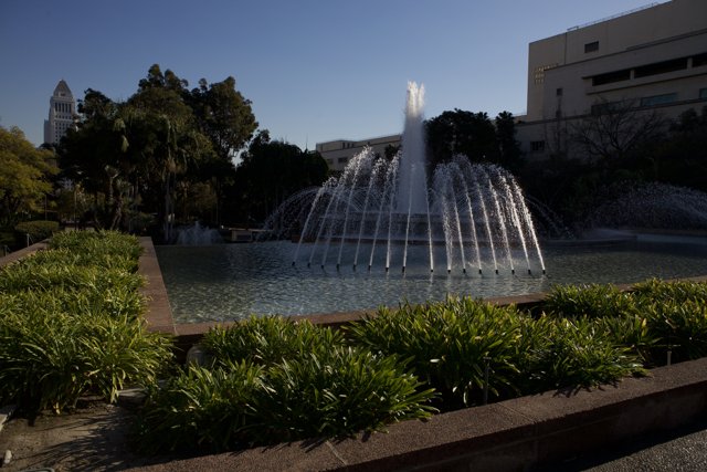 Serene Fountain in Park