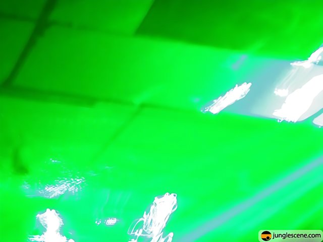 Electrifying Laser Light Show