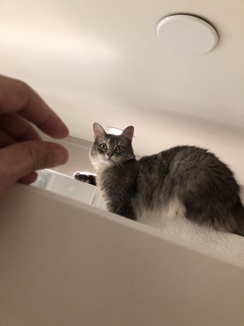 Bathroom Buddy