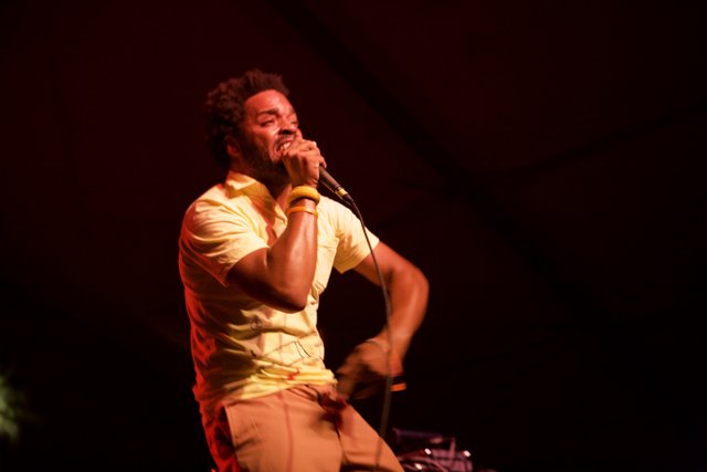 Yellow Shirted Singer Rocks Coachella