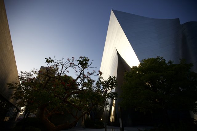 The Iconic Walt Disney Hall of Music in a Metropolis