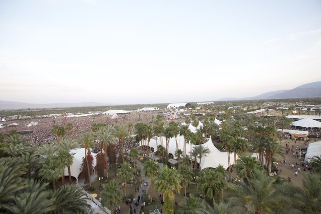 Aerial View of Summer Festival with Palm Trees
