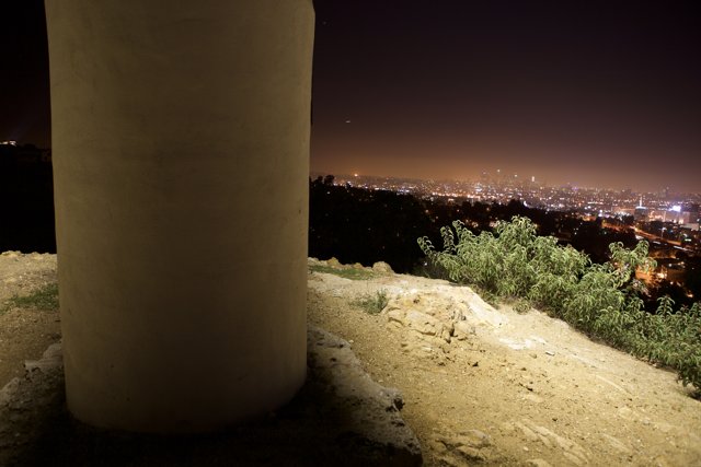 City Lights from the Hilltop