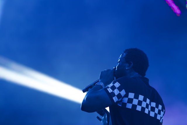 Spotlight on the Entertainer Caption: A man in a checkered shirt mesmerizes the crowd with his solo performance at Coachella 2017, under the vibrant glare of the spotlight.