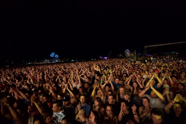 Coachella 2011: A Sea of Hands