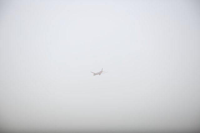 Flight in the Fog
