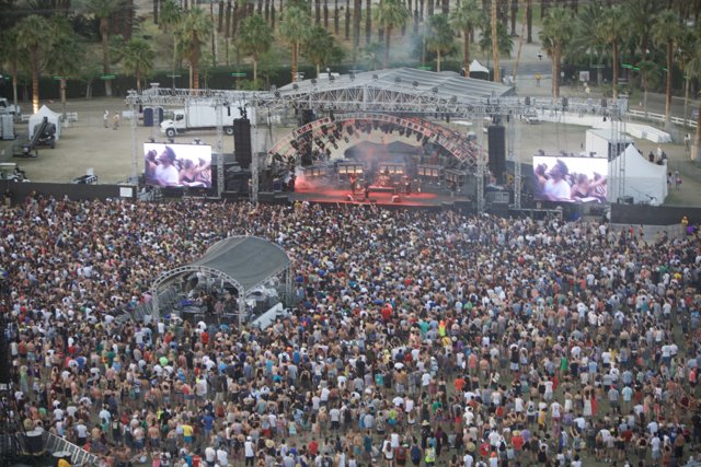 Jam-packed concert audience under towering palm trees