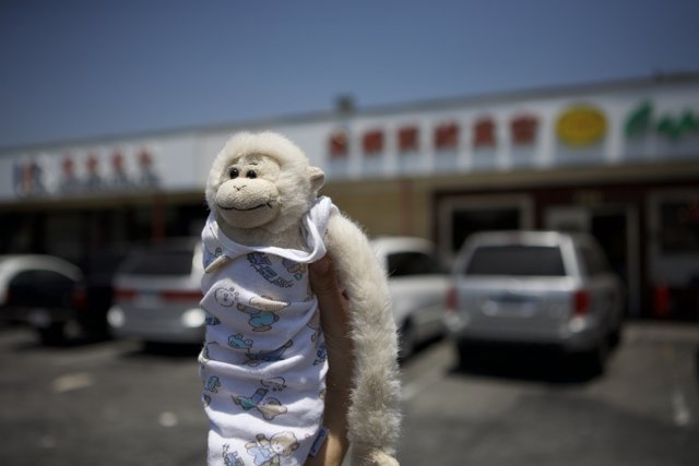 The Stuffed Monkey Takes a Stroll