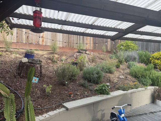 Tranquil Morning in the Garden