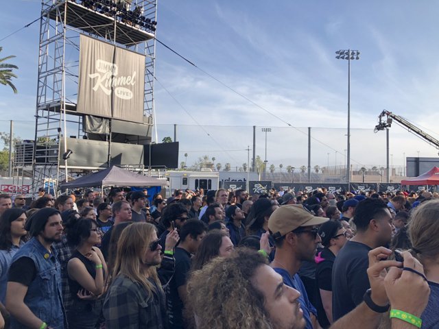 Captivating Crowd at the 2018 Music Festival