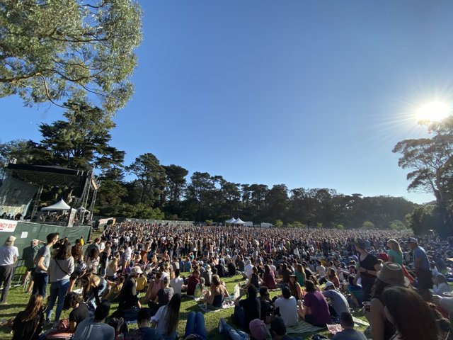 Concert Crowd Shines Under the California Sun