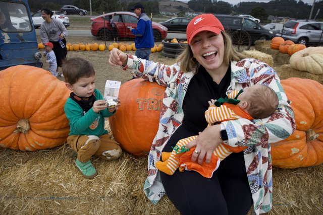 Harvest Joy