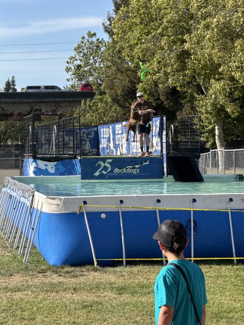 Summer Splash at the Dock